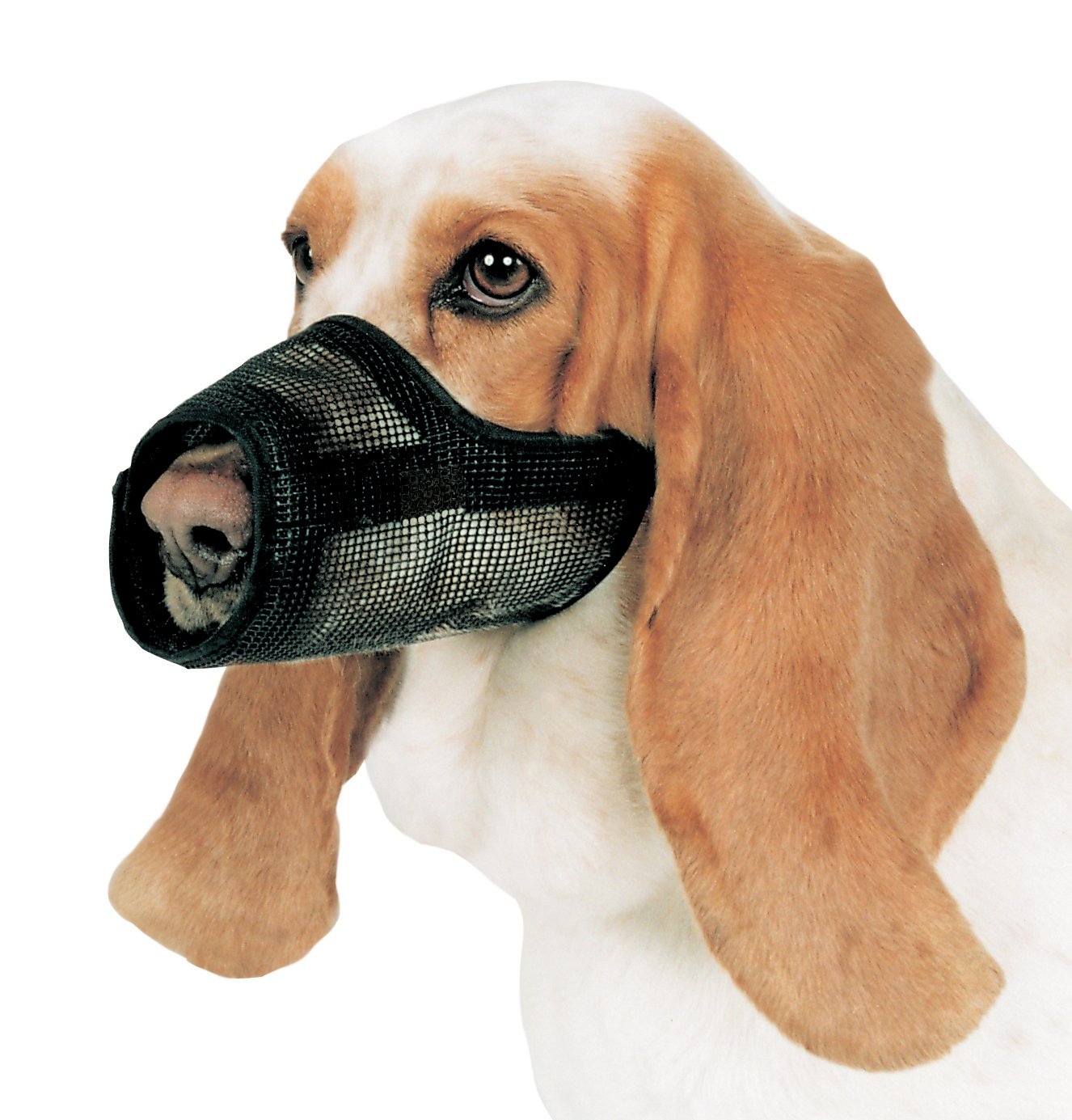 mesh muzzle