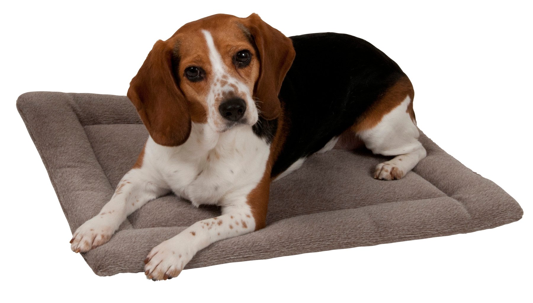 Aspen Pet 23.5" X 16.5" Kennel Mat Shop Dogs at HEB