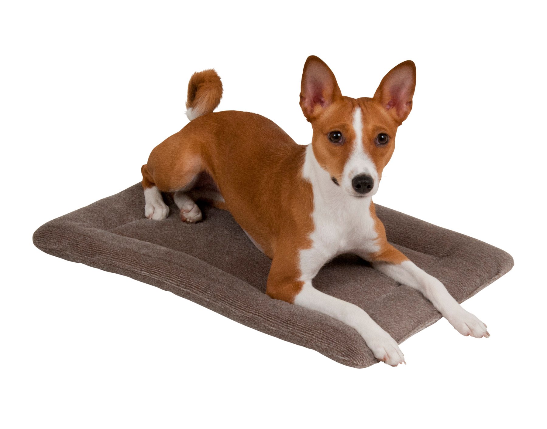 Aspen Pet 20.5" X 14" Kennel Mat Shop Beds at HEB