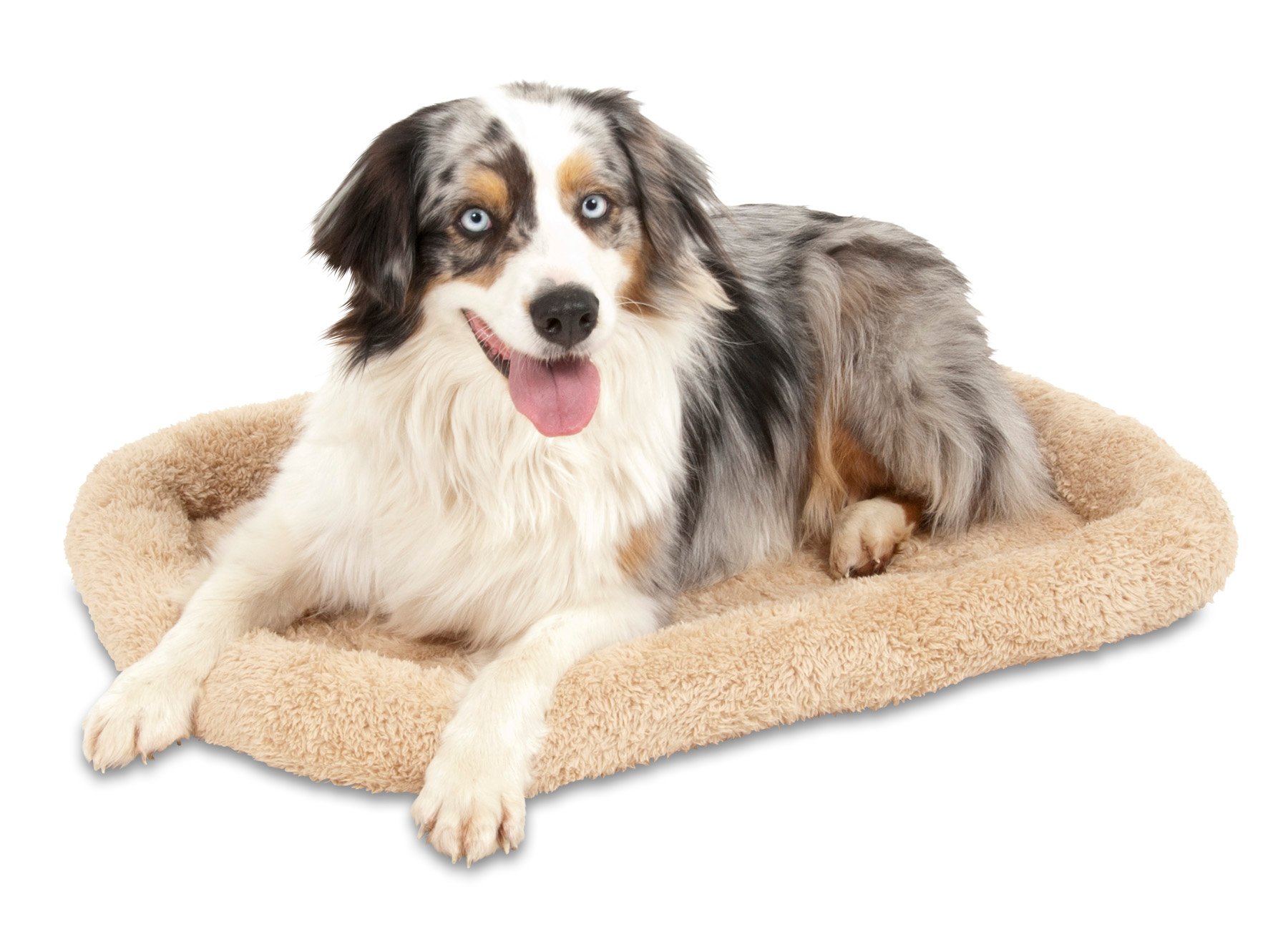Aspen Pet 32" X 21" Bolster Mat Shop Beds at HEB