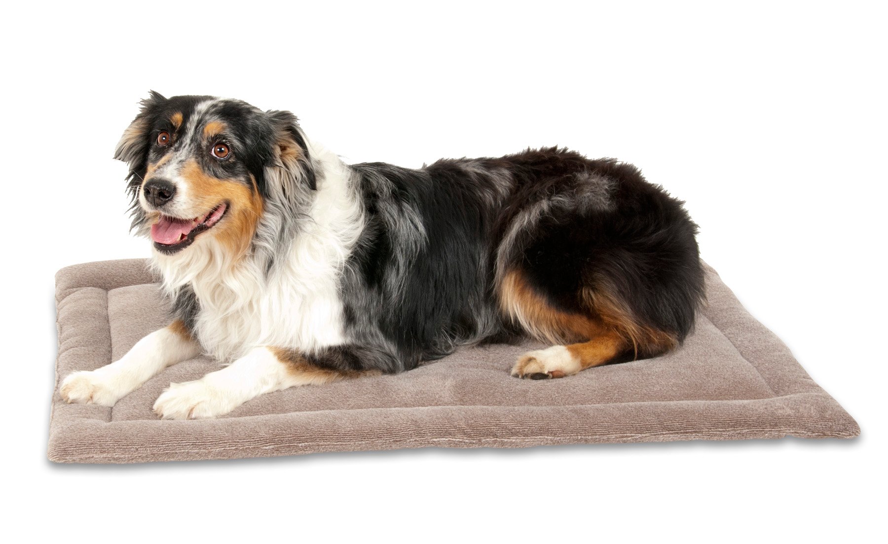 Aspen Pet 32" X 21" Kennel Mat Shop Beds at HEB