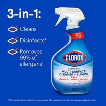 Clorox Clean-Up Multi-Surface Cleaner with Bleach Spray Bottle - Rain Clean, 32 oz
