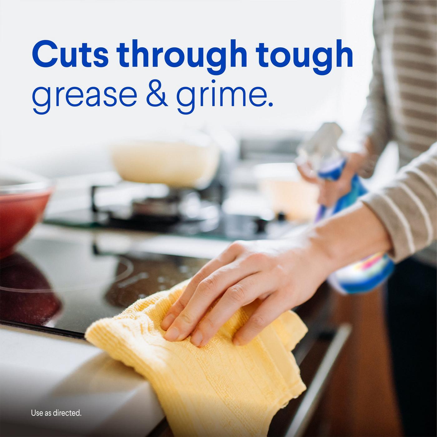 Clorox Clean-Up Multi-Surface Cleaner with Bleach Spray Bottle - Rain Clean; image 5 of 11