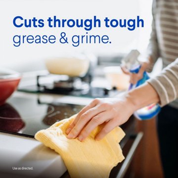 Clorox Clean-Up Multi Surface Cleaner with Bleach Spray - Rain Clean, 32 oz