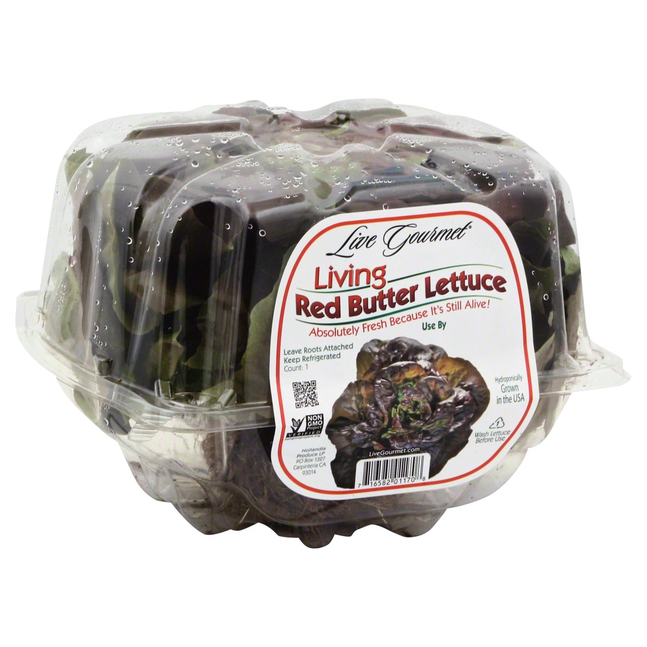 Fresh Living Red Butter Lettuce, Each | Central Market - Really Into Food
