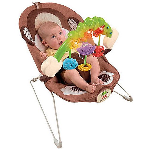 fisher price baby bouncer monkey