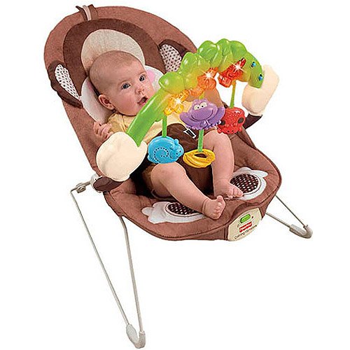 FisherPrice Monkeyin' Around Bouncer Shop Baby toys at HEB