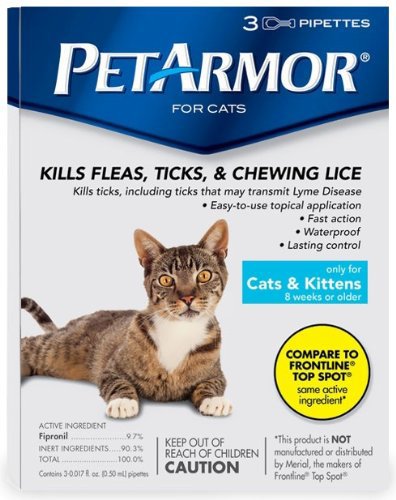 cat grooming flea treatment