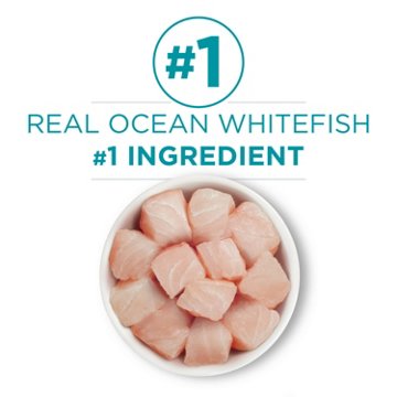 Purina ONE Natural High Protein Grain Free Wet Cat Food Pate - Ocean Whitefish Recipe