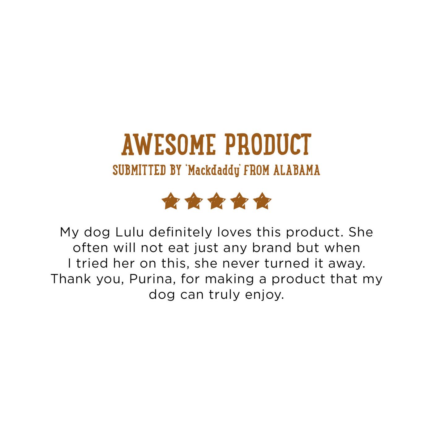 Beneful Purina High-Quality Protein Gravy Wet Dog Food Variety Pack; image 8 of 14