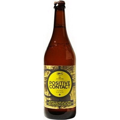 Dogfish Head Positive Contact Bottle Shop Beer At H E B