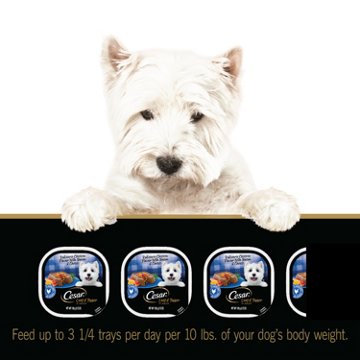 Cesar Wet Dog Food Loaf & Topper in Sauce Easy Peel Trays - Rotisserie Chicken Flavor with Bacon & Cheese