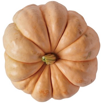 H-E-B Texas Roots Pink Pumpkin