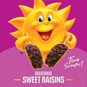 Kellogg's Raisin Bran Original Cold Breakfast Cereal