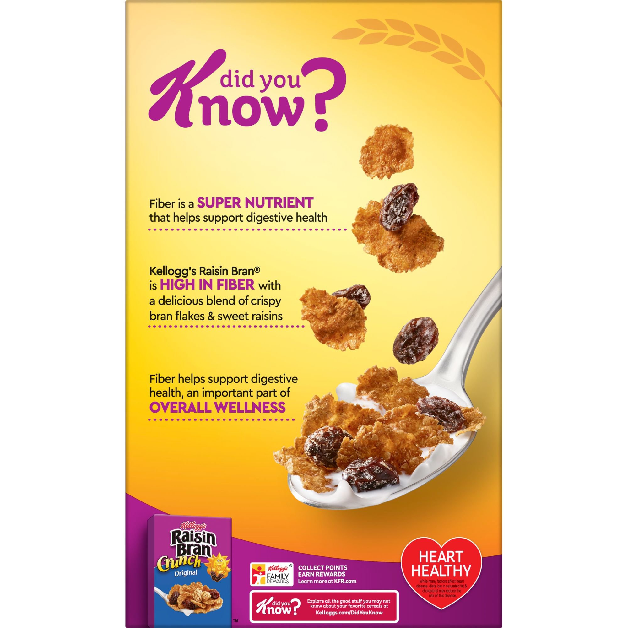Kellogg's Raisin Bran Original Cold Breakfast Cereal - Shop Cereal