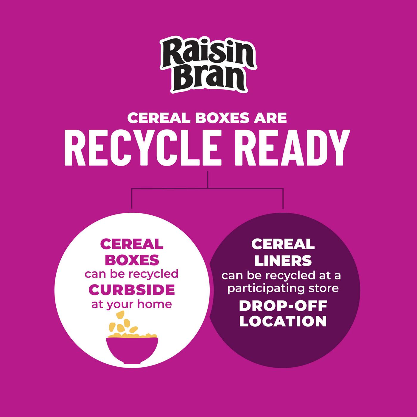 Kellogg's Raisin Bran Crunch Original Cold Breakfast Cereal - Family Size; image 4 of 12
