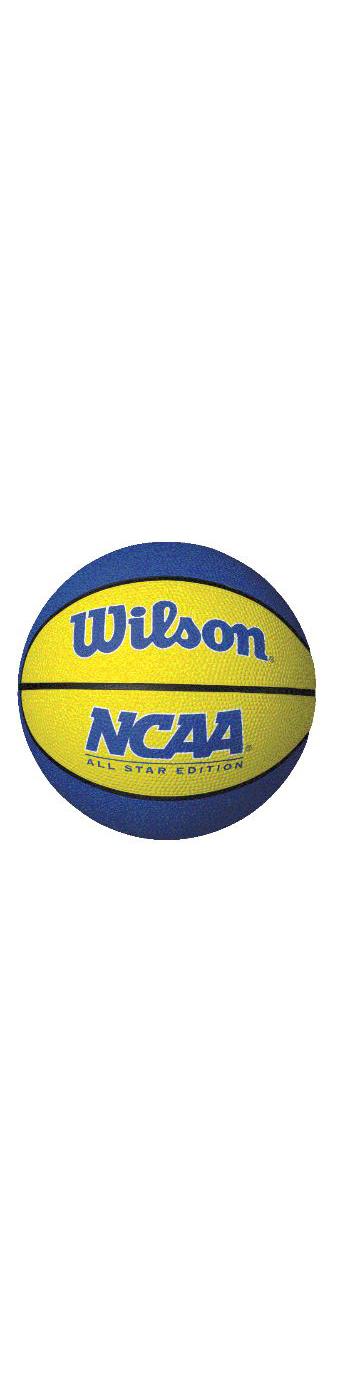 Wilson Mini Basketball; image 8 of 8