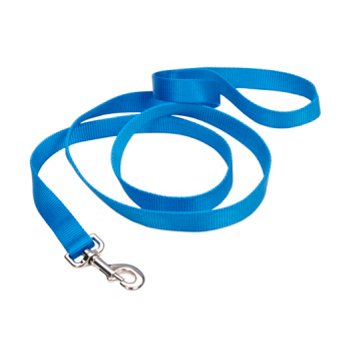 Coastal Pet Products 1 Inch X 6 Foot Lagoon Blue Leash, EACH