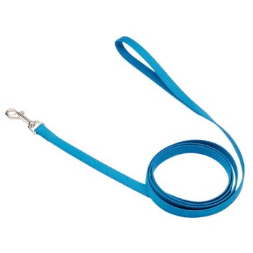 Coastal Pet Products 5/8 Inch X 6 Foot Lagoon Blue Leash, EACH