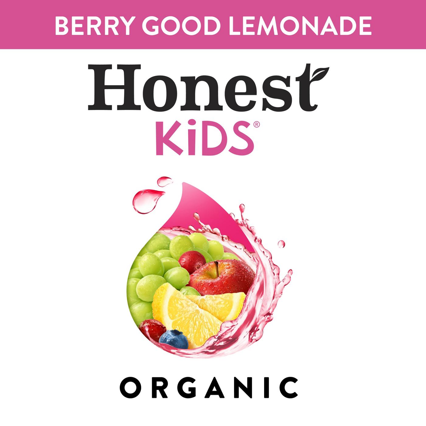 Honest Kids Organic Berry Berry Good Lemonade Juice Drink 8 pk Pouches; image 4 of 7