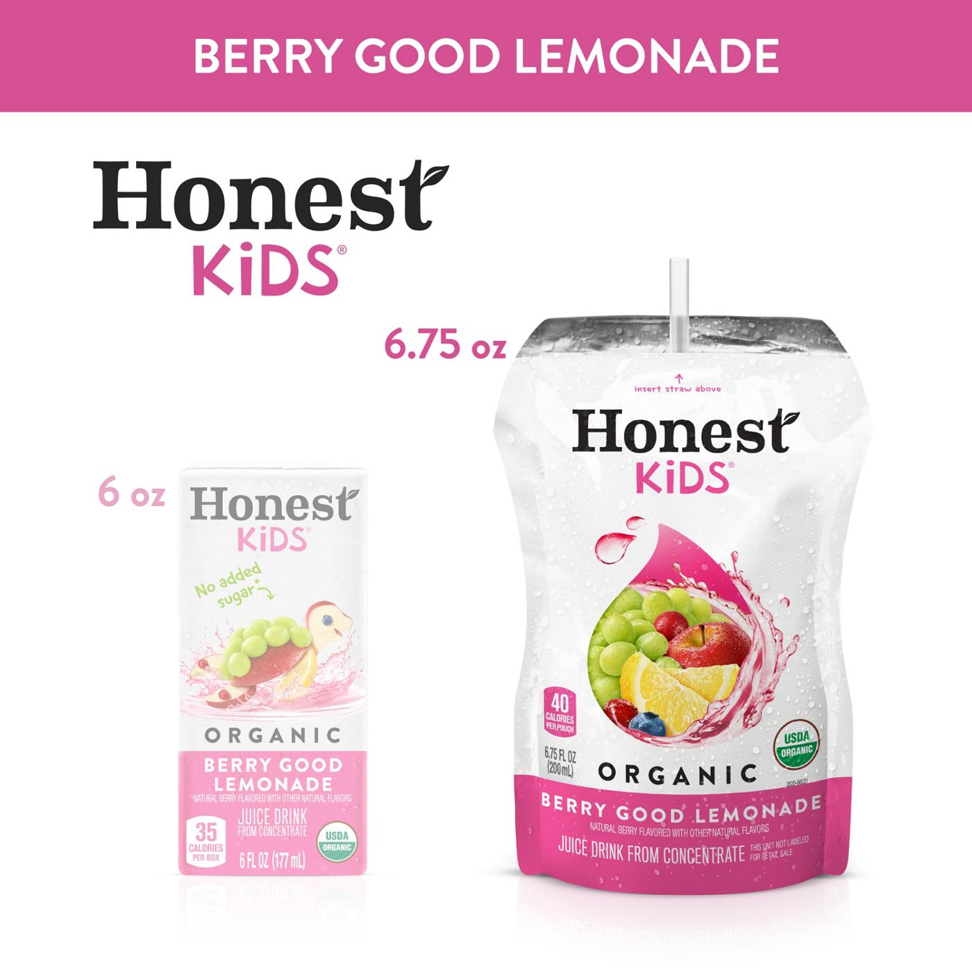 Honest Kids Organic Berry Berry Good Lemonade Juice Drink 8 pk Pouches; image 5 of 7