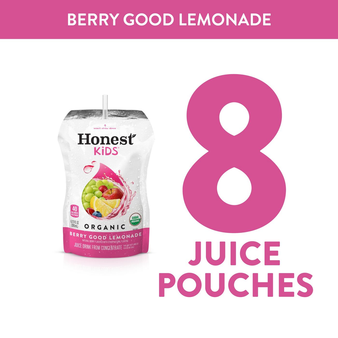 Honest Kids Organic Berry Berry Good Lemonade Juice Drink 8 pk Pouches; image 8 of 8