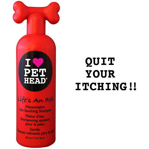 Pet Head Life's An Itch Watermelon Skin Soothing Shampoo Shop Dogs at