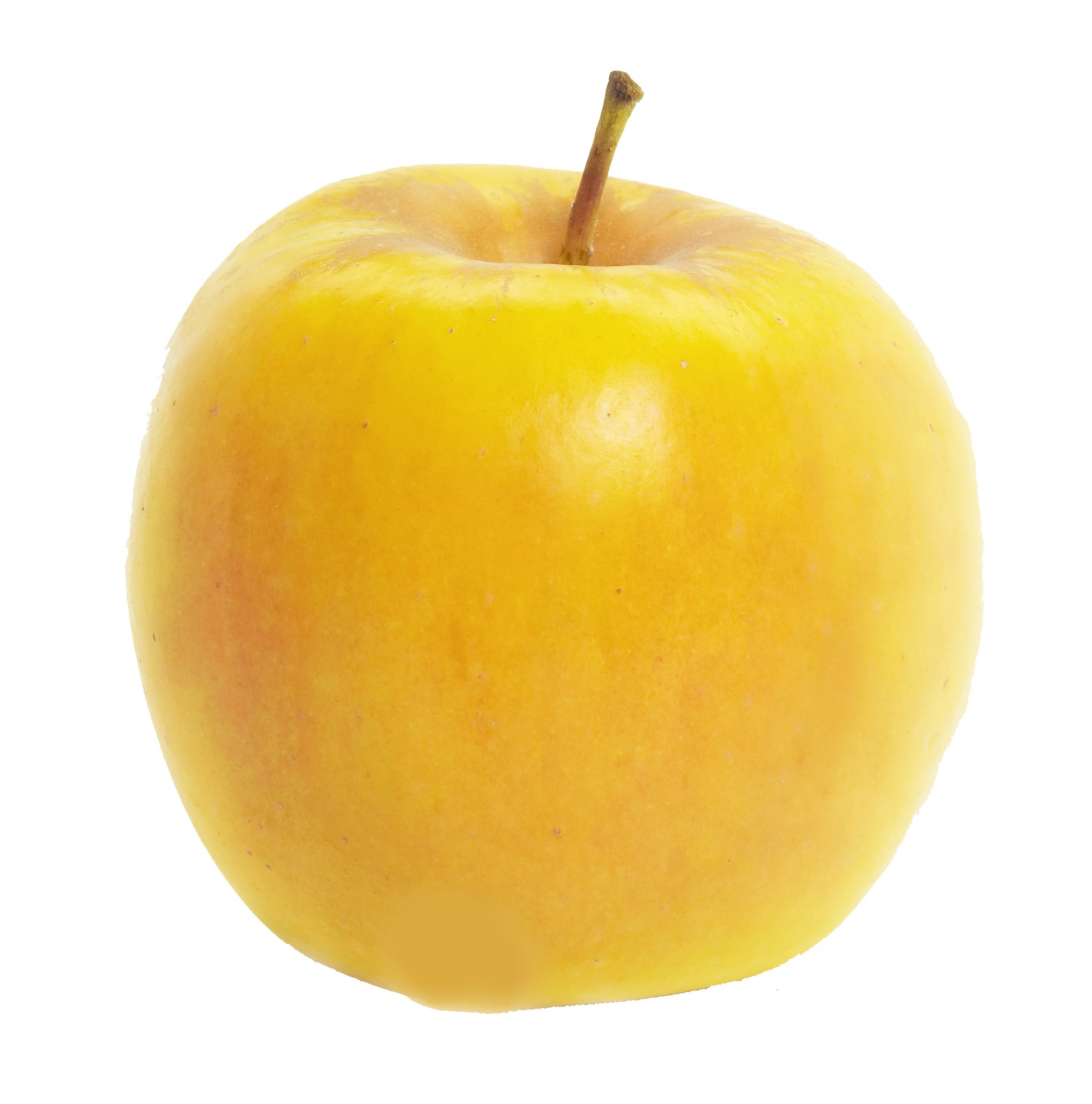 Fresh Opal Gold Apple - Shop Apples at H-E-B