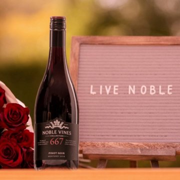 Noble Vines 667 Pinot Noir Special Select California Red Wine, 750 mL