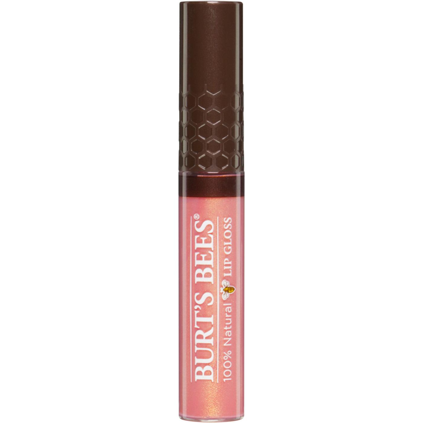 Burt's Bees Sunny Day Moisturizing Lip Gloss; image 1 of 6