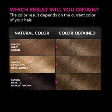Garnier Olia Oil Powered Ammonia Free Permanent Hair Color 6.0 Light Brown