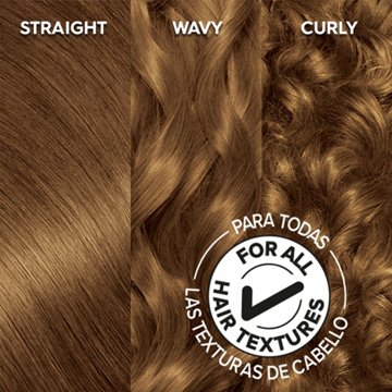 Garnier Olia Oil Powered Ammonia Free Permanent Hair Color 6.3 Light Golden Brown
