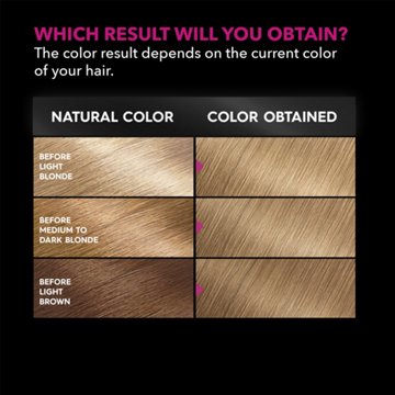 Garnier Olia Oil Powered Ammonia Free Permanent Hair Color 8.0 Medium Blonde