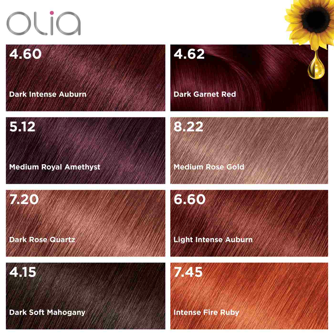 Garnier Olia Oil Powered Ammonia Free Permanent Hair Color  Dark  Intense Auburn - Shop Hair Color at H-E-B