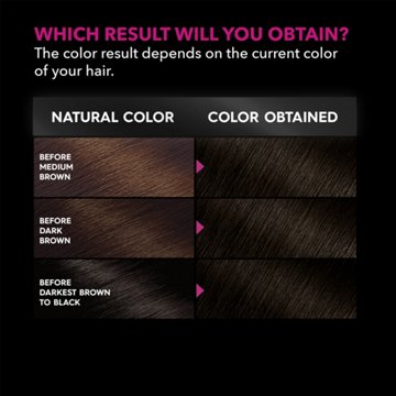 Garnier Olia Oil Powered Ammonia Free Permanent Hair Color 3.0 Darkest Brown