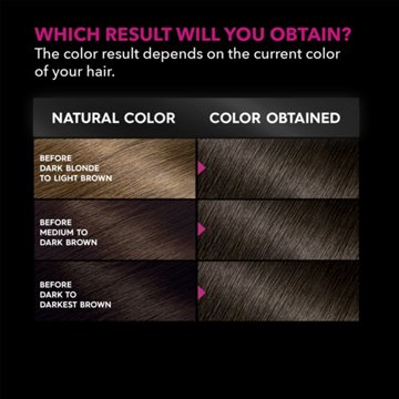 Garnier Olia Oil Powered Ammonia Free Permanent Hair Color 5.0 Medium Brown