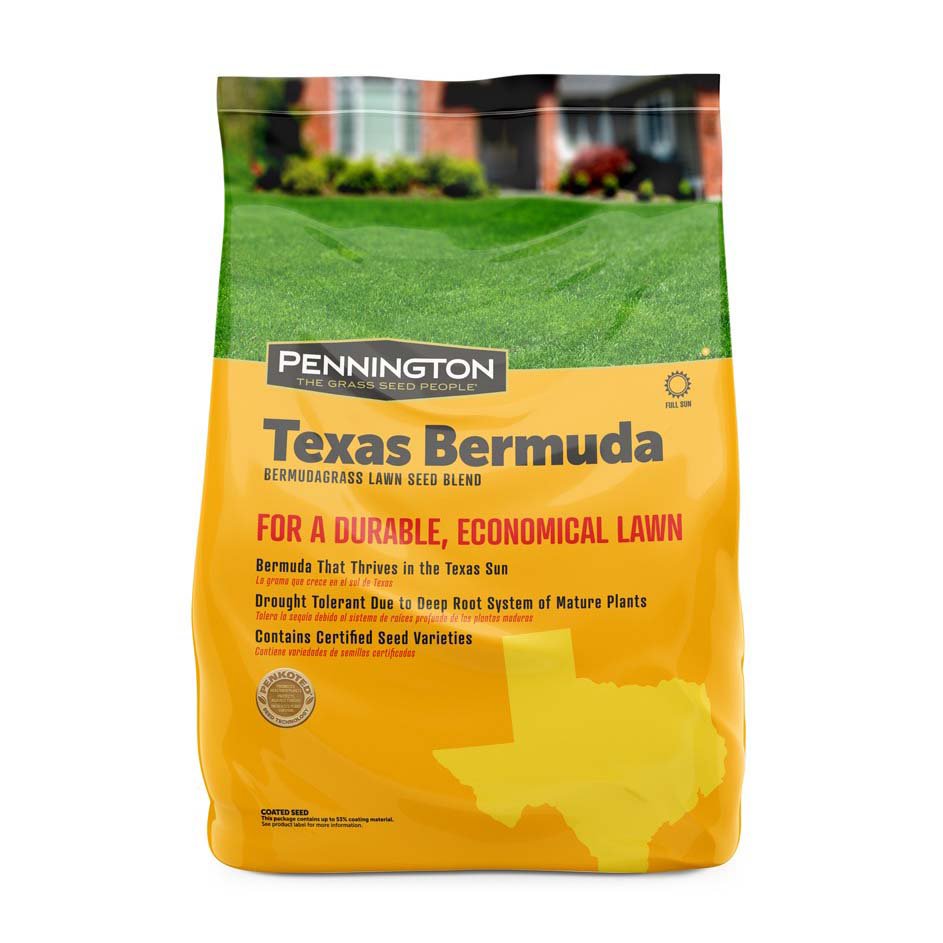 Pennington Texas Bermuda Blend Lawn Seed Shop Seeds at HEB