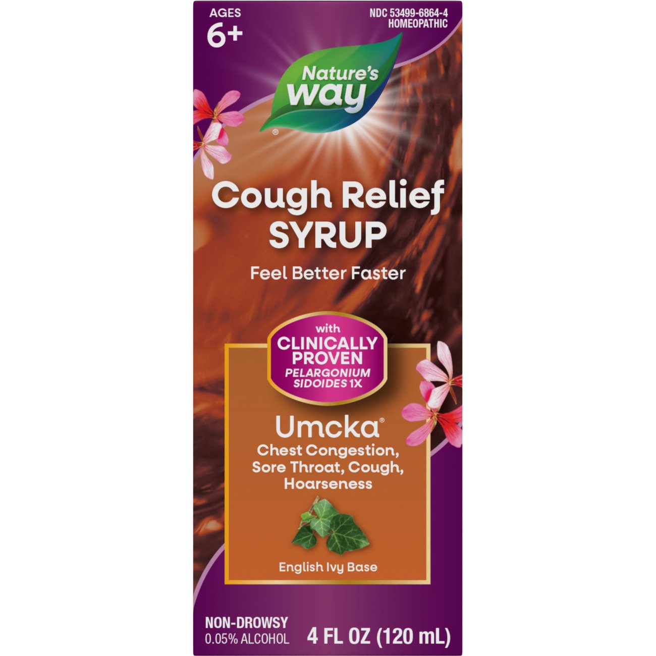 Nature's Way Umcka Cough Syrup Shop Herbs & homeopathy at HEB