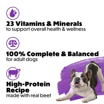 Beneful Purina Medleys Tuscan Style Wet Dog Food - Beef, Carrots, Tomatoes, and Rice in Gravy