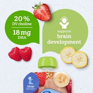 Gerber Organic for Toddler Wonderfoods Pouch - Banana Strawberry Raspberry Mixed Grain