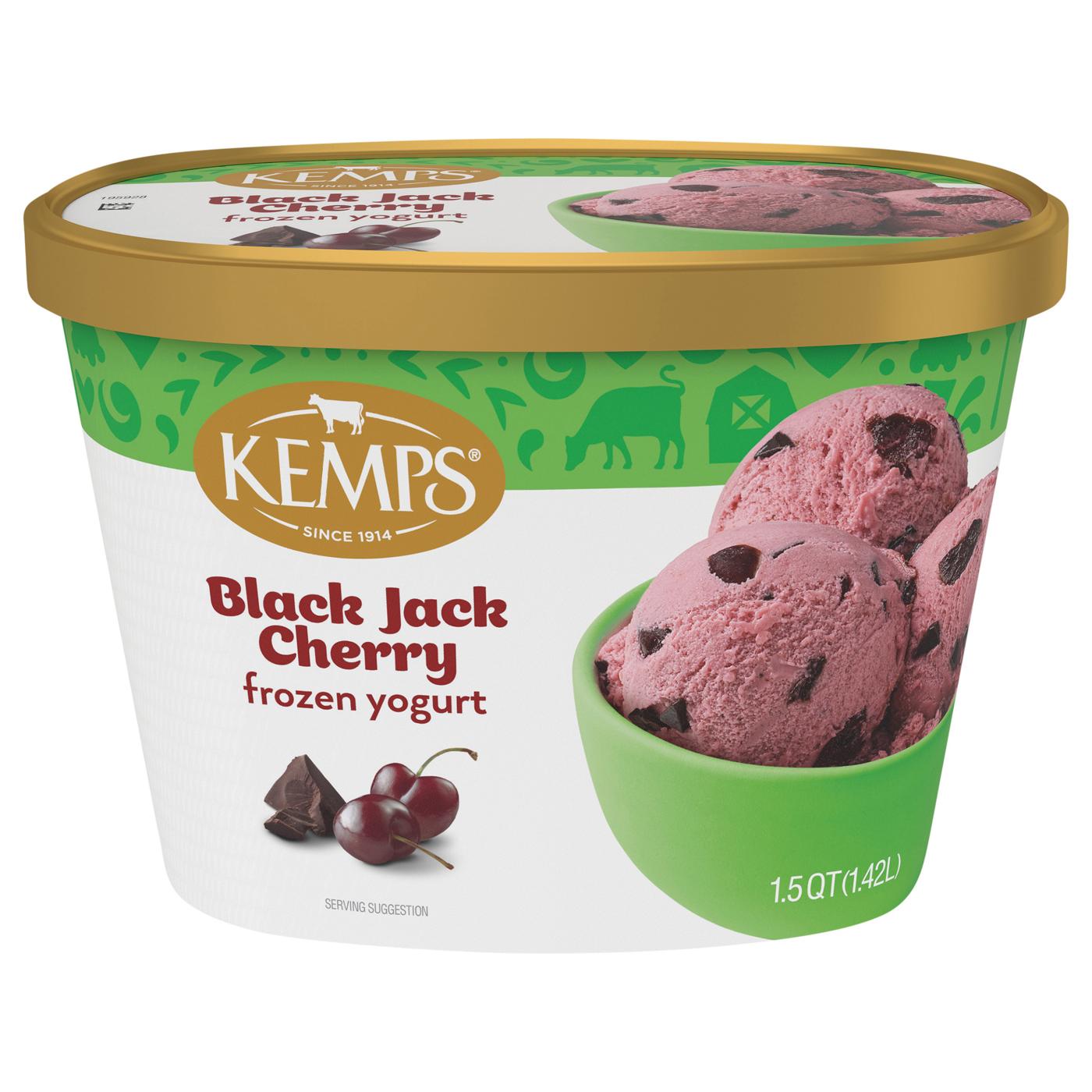 Kemps Black Jack Cherry Frozen Yogurt; image 1 of 3