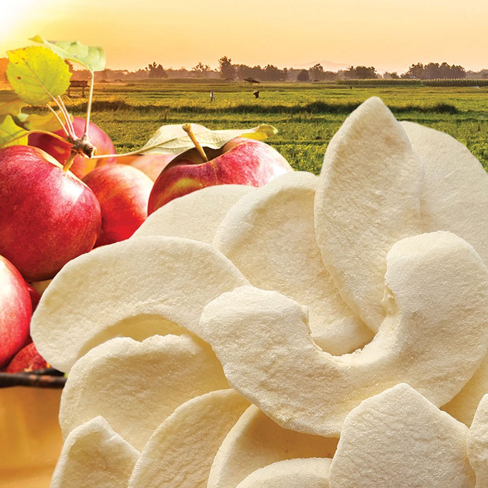 Brothers All Natural Fuji Apple Freeze-Dried Fruit Crisps - Shop
