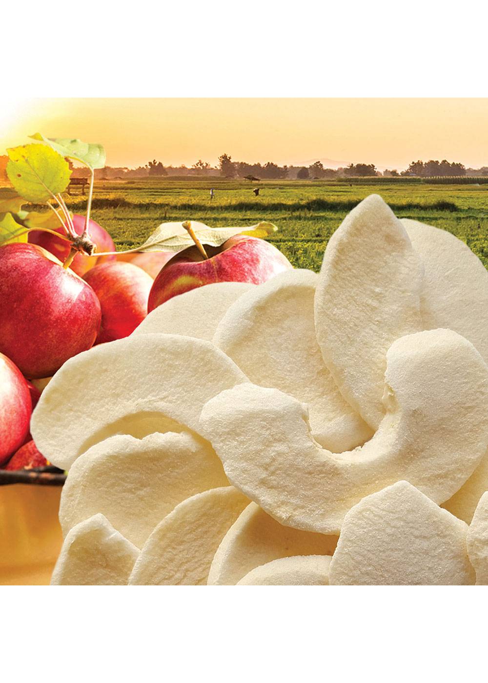 Brothers All Natural Fuji Apple Freeze-Dried Fruit Crisps; image 2 of 2