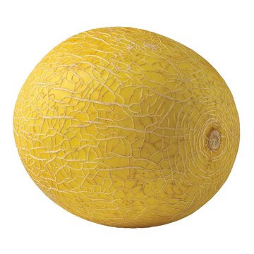 H-E-B Texas Roots Fresh Golden Cantaloupe