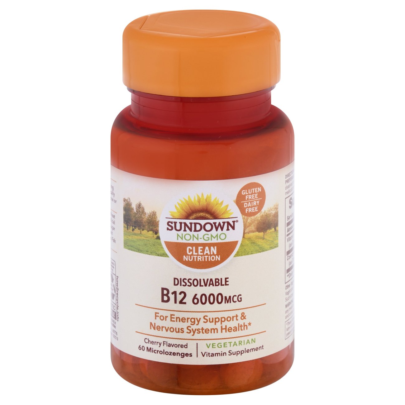 Sundown Naturals Vitamin B12 Super Potency Sublingual 6000 mcg Tablets