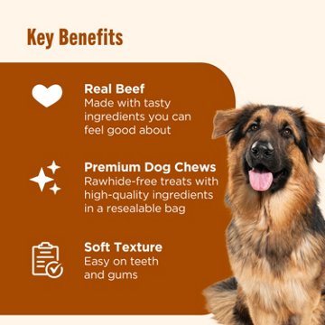 Rachael Ray Nutrish Soup Bones Beef & Barley Flavor Dog Treats, 3 ct