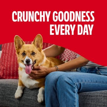 MilkBone Mini's Flavor Beef Chicken Bacon Dog Snacks, 15 oz