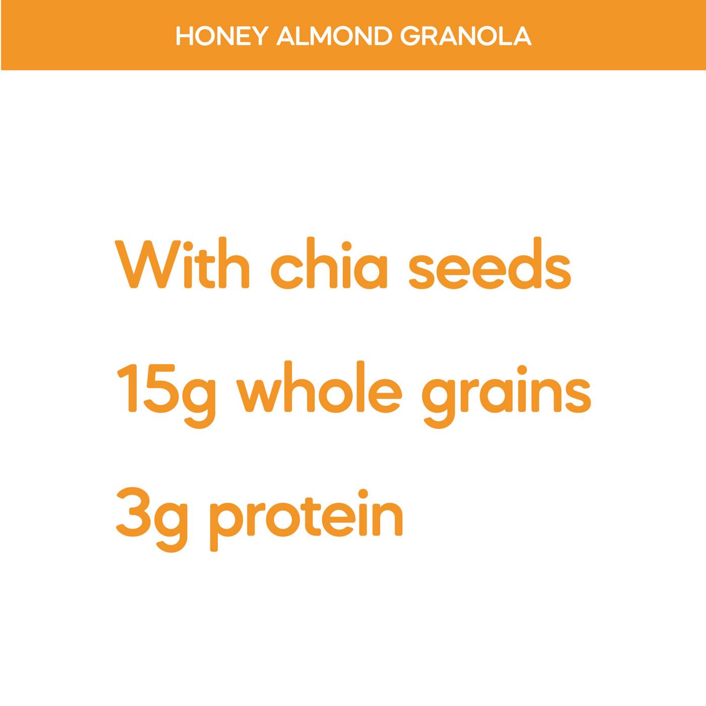 Nature's Path Organic Granola - Honey Almond & Chia Seeds; image 2 of 6
