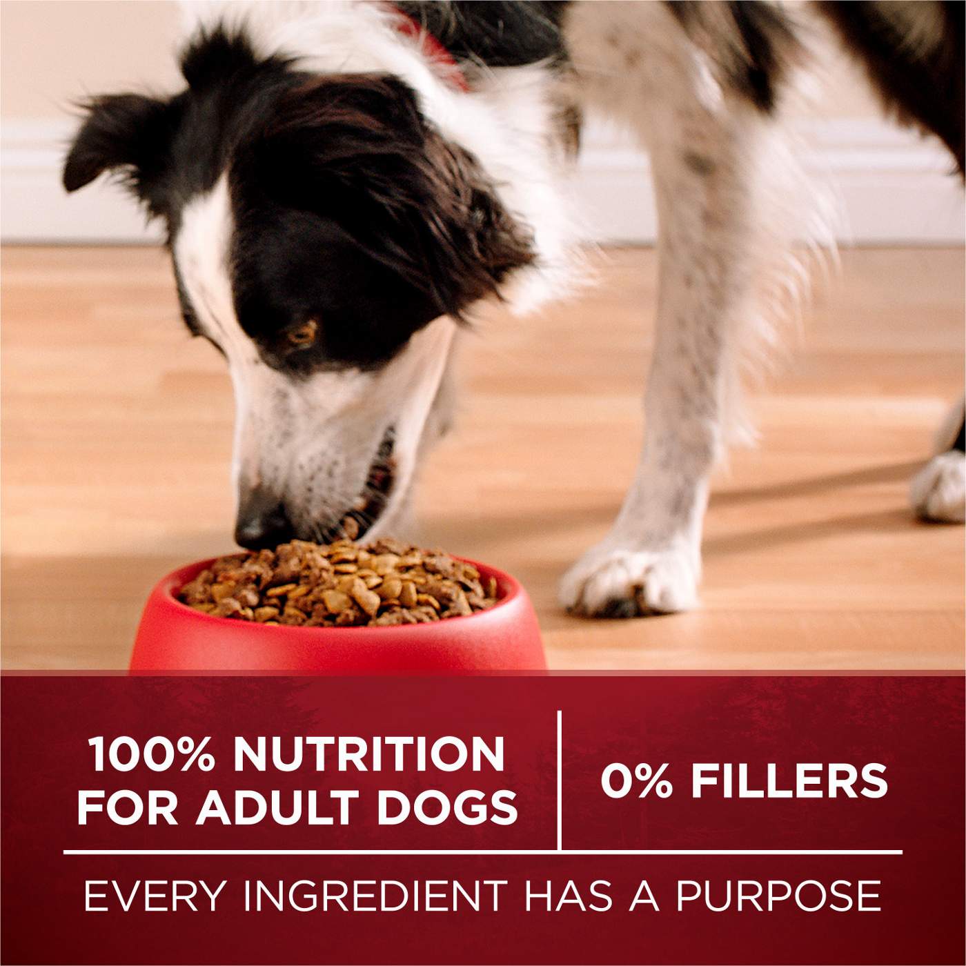 Purina ONE SmartBlend True Instinct Natural Turkey & Venison Dry Dog Food; image 3 of 7
