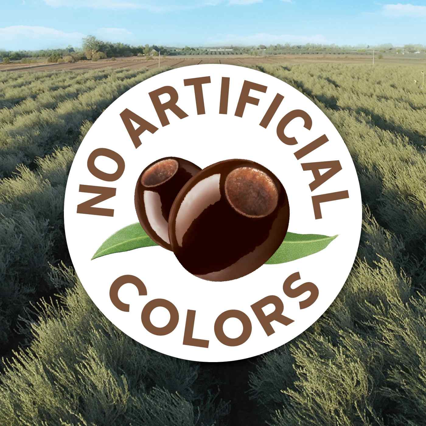 Musco Family Olive Co. Pearls Ripe Black Large Pitted California Olives To Go Cups!; image 2 of 10